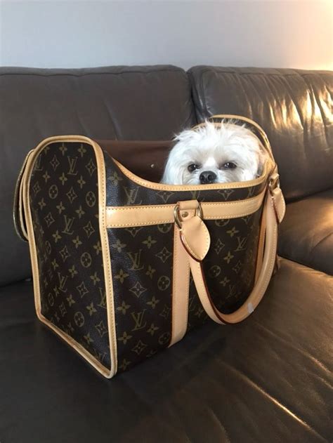 louis vuitton dog carrier cost|authentic Louis Vuitton pet carrier.